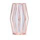 thumbnail image 3 of CHAO Jarrón de cristal con soporte de metal geométrico, oro rosa, florero de cristal para plantas de flores hidropónicas, centros de mesa de boda para el hogar, 3 of 4