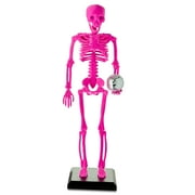 Large Flocked Disco Skeleton Tabletop Decor, Hot Pink, 25", Halloween by Way To Celebrate