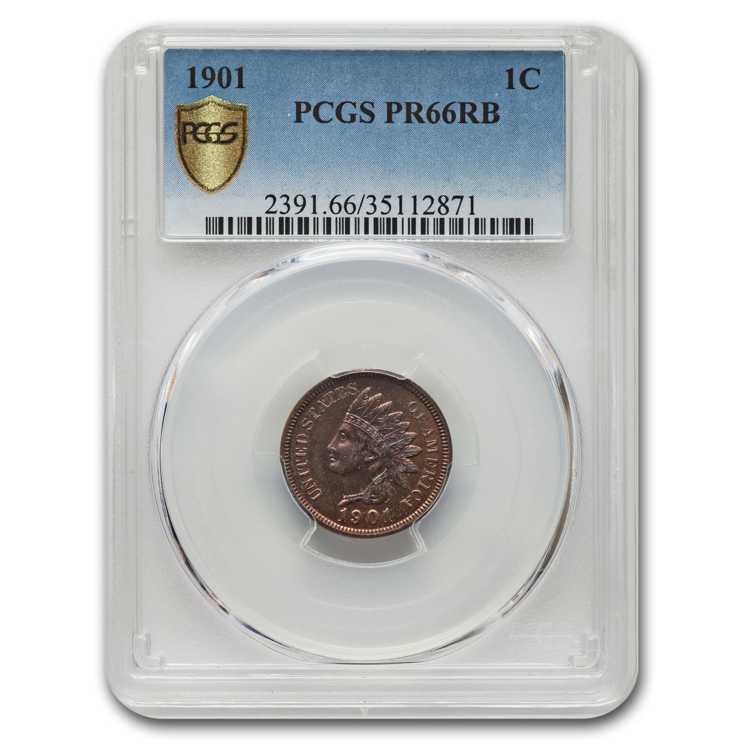 1901 Indian Head Cent PR-66 PCGS (Red/Brown) - Walmart.com