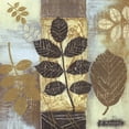 thumbnail image 2 of Russell, Wendy 26x26 Gold Ornate Wood Framed with Double Matting Museum Art Print Titled - Patterns of Nature II, 2 of 4