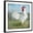 Black Frame, variant on Art.com Noble Rooster I Vintage No Border Art Print by Danhui Nai, Black Frame Wall Art, 29" x 29"