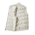 thumbnail image 2 of Camiseta sin mangas con cuello alto para hombre, cálida, de invierno, de color sólido, sin mangas, con cuello alto y cremallera con bolsillo, chaqueta de poliéster para hombre., 2 of 6