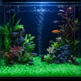 thumbnail image 5 of AuroraX Glow in the Dark Pebbles Fluorescent Garden Stones Bulk 500 Pcs Outdoor Use Fish Tank Safe Mini Size Luminous Aquarium Decor Green, 5 of 6