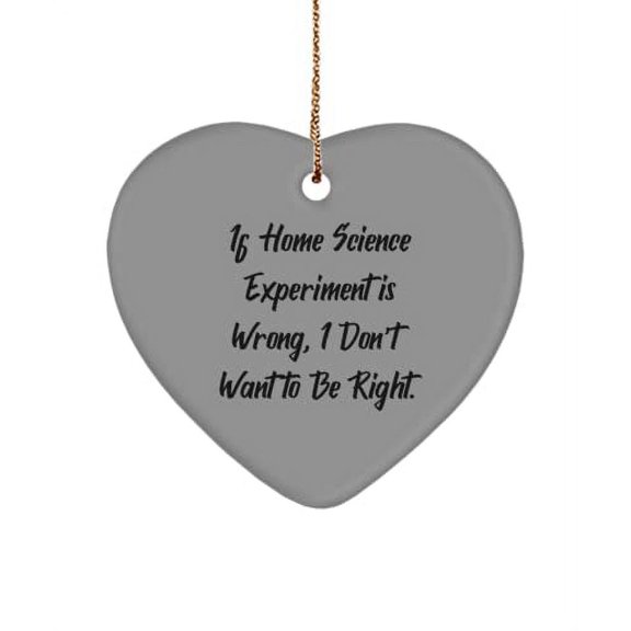 Gag Home Science Experiments Heart Ornament, If Home Science Experiment is Wrong, I Don't Want to Be., New Gifts for Friends