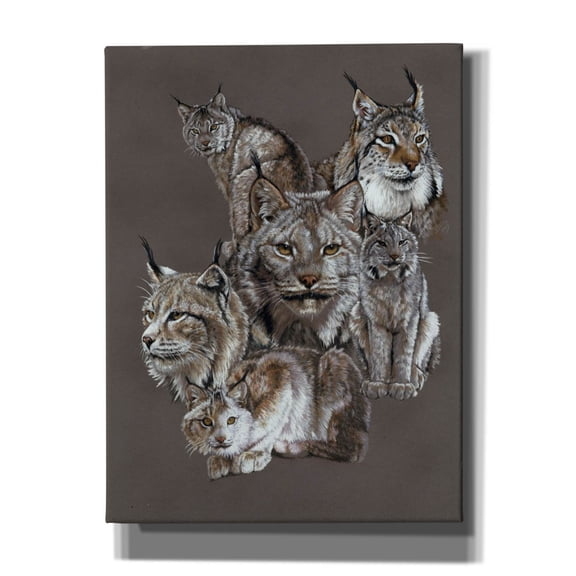 Epic Graffiti 'Rogue' by Barbara Keith, Canvas Wall Art, 12"x16"