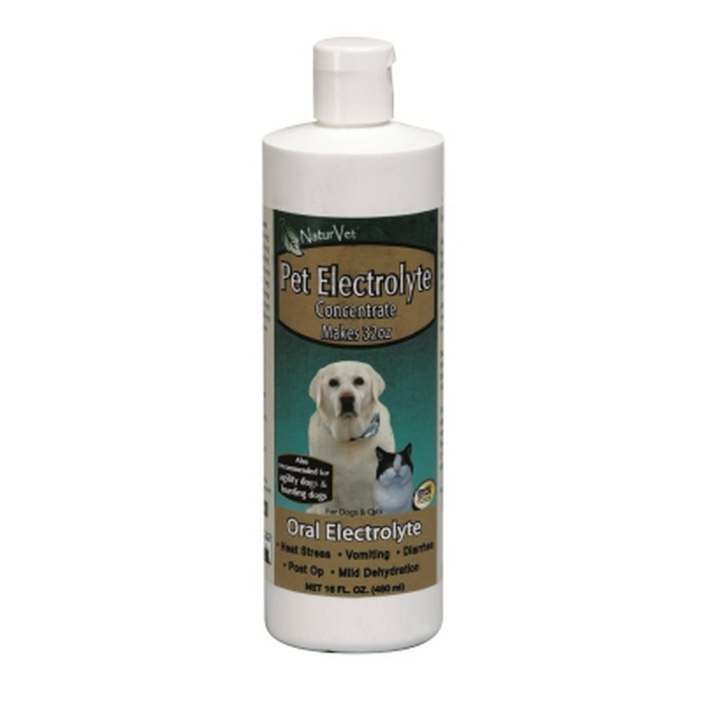 GARMON CORPORATION/NATURVET PET ELECTROLYTES FOR DOG & CAT 16 OZ