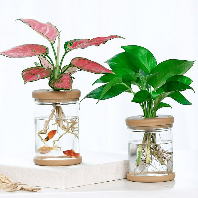 Maceta para plantas hidropónicas, transparente, verde, de hoja perenne, florero de cristal de imitación rojo, decoración creativa de resina, recipiente pequeño
