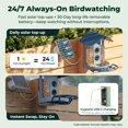 thumbnail image 3 of Comedero para pájaros Kiwibit con cámara 4K y energía solar con IA, 3 of 9