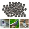 thumbnail image 3 of Qualitchoice 100Pcs 2022 Aluminium Dove Racing Pigeon Foot Rings Bands Rings Reusable 8mm White, 3 of 9
