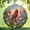 Option 1, variant on Baby Cow Double Sided Wind Spinner 10 Inch, Farmhouse Garden Decor