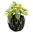 thumbnail image 1 of Flores artificiales, suculentas artificiales, plantas en macetas, decoraciones para el hogar, plantas verdes artificiales., 1 of 5