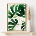 thumbnail image 2 of PixonSign Framed Canvas Print Wall Art Faded Monstera Leaf Trio Nature Wilderness Illustrations Modern Art Rustic Colorful Multicolor Ultra for Living Room, Bedroom, Office - 24"x36" Natural, 2 of 5