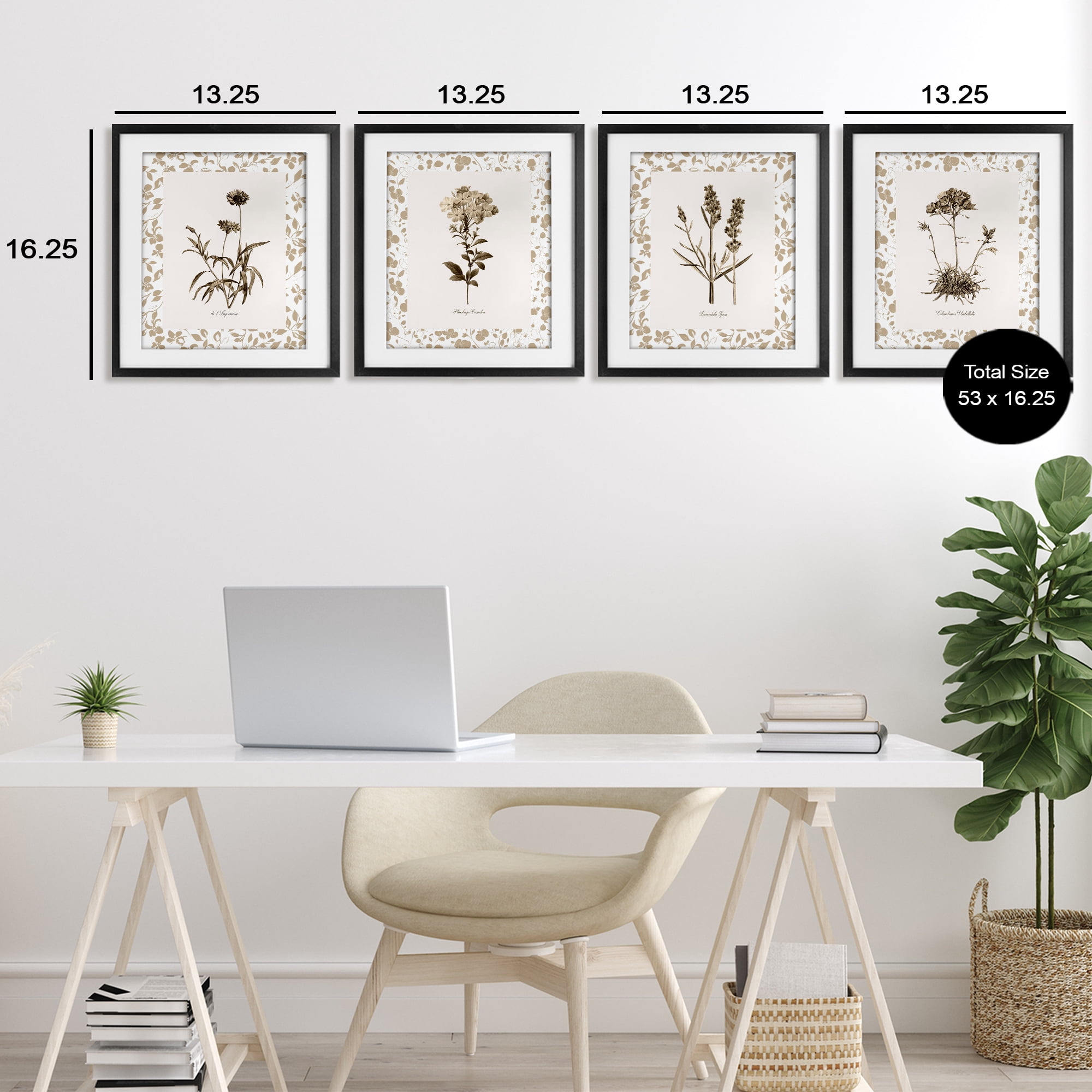 Stupell Industries Neutral Imperial Flower Studies 4 Piece Black Framed Print Under Glass Set, design by Kelly Donovan