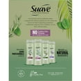 thumbnail image 3 of Sauve Professionals Rosemary and Mint Invigorating Shampoo and Conditioner Paraben free and Dye free for Dry and Damaged Hair 18 oz, 2 Count, 3 of 11