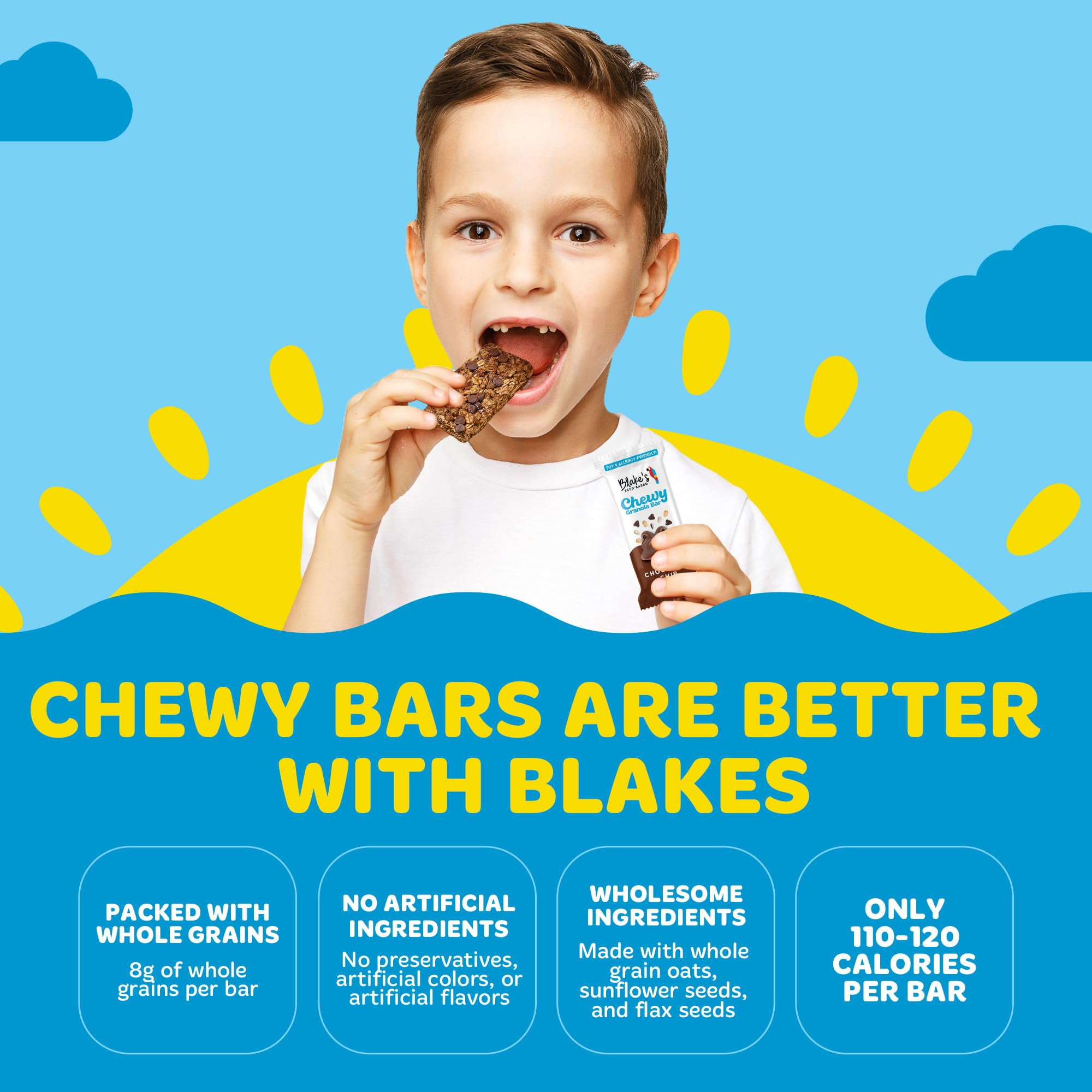 Blake’s Seed Based Chewy YPF5&nbsp;Granola Bars - Variety Pack (24 Count), Vegan, Gluten Free, Nut Free & Dairy Free, Healthy Snacks for Kids or Adults, School Safe, Low Calorie Soy Free Snack