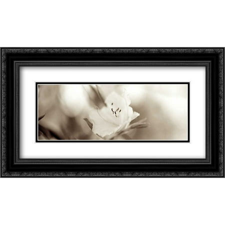 104 Matt - Florison - 104 2x Matted 24x14 Black Ornate Framed Art Print by Blaustein, Alan