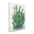 thumbnail image 2 of Stupell Botanical Desert Prickly Pear Cactus Botanical & Floral Painting Gallery Wrapped Canvas Print Wall Art, 2 of 5