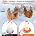 thumbnail image 4 of Outdoor Heated Poultry Waterer with Efficient Heating Plate for Cold Weather Farm and Garden Use, 4 of 6