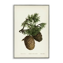 Stupell Industries Cedar Tree Pinecones Plants & Flowers Painting Gray Framed Art Print Wall Art, 20 x 30
