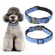 thumbnail image 3 of Collar de terciopelo azul suave para gatos y cachorros con lazo, accesorio de cuello de moda para mascotas pequeñas y medianas, 3 of 8