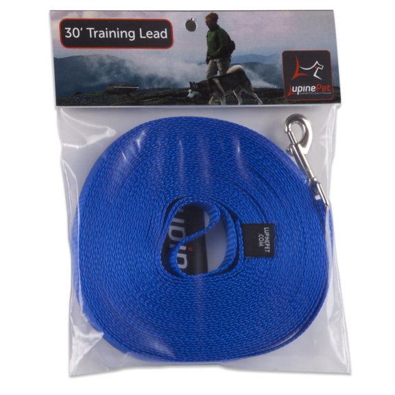 1/2in Blue 30ft Dog Training Leash