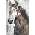 thumbnail image 3 of Orlov, Irena 11x14 Black Modern Framed Museum Art Print Titled - Horse Portrait II, 3 of 5