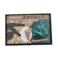 thumbnail image 1 of Spécimens de Fossiles d'Animaux de Dinosaure Collection Biologie Science, 1 of 6