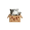 thumbnail image 4 of Lovely Box Cartoon Cat Miniature Landscape Decor Bonsai Resin Crafts Ornament by Mightlink, 4 of 5