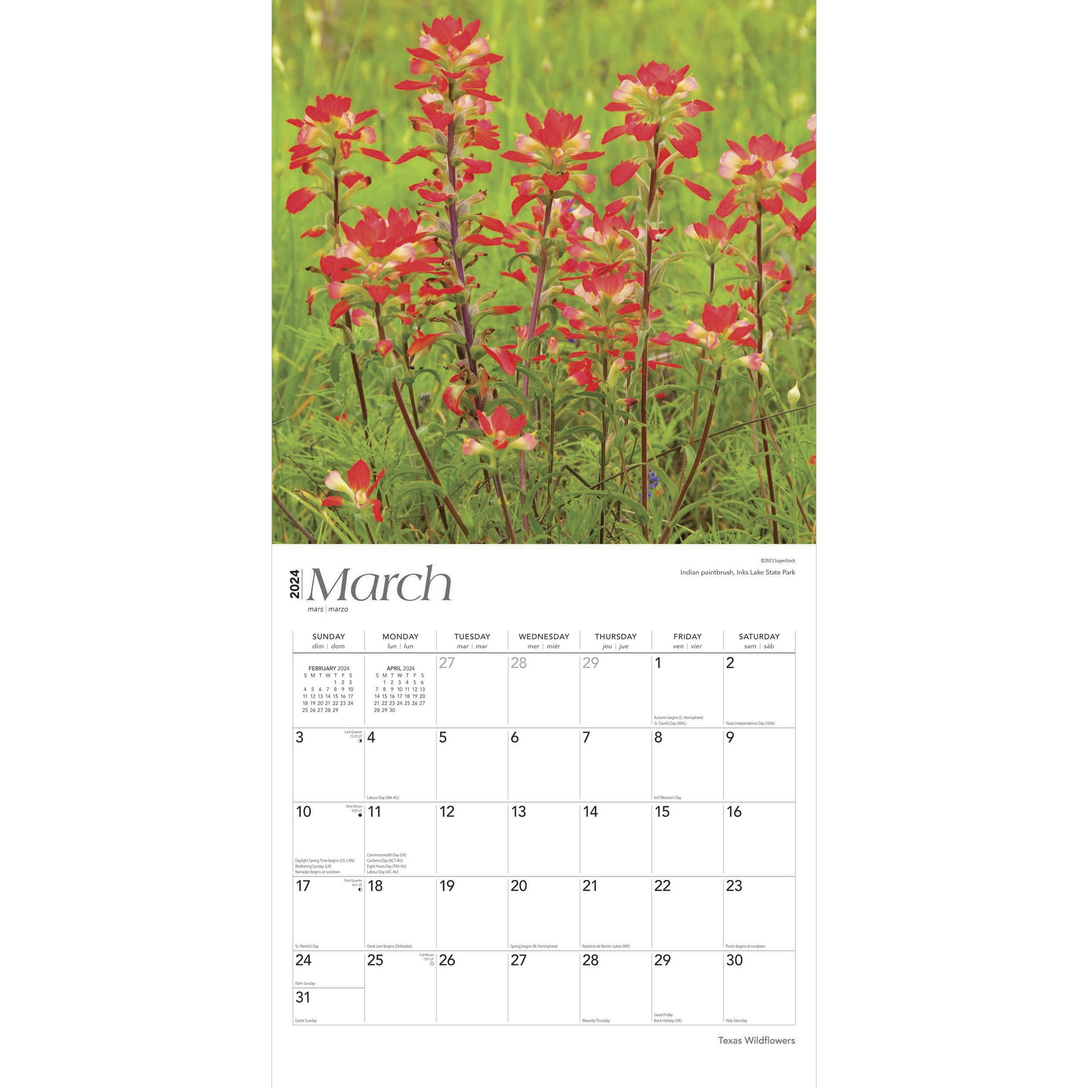 2024 Twelve Months of Texas Calendar – Flower and Vine