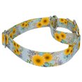 thumbnail image 4 of Country Brook Petz® Sunny Days Martingale Dog Collar, Medium, 4 of 5