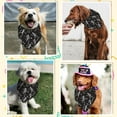 thumbnail image 6 of Cotton Dog's Kerchief Triangle Pet's Bandana Father Theme Skeleton 380x780mm, 6 of 7