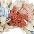 thumbnail image 4 of Northlight Seashells and Shaved Wood Small Artificial Wreath - 13", 4 of 5