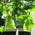 thumbnail image 4 of sunsanly 100Pcs Fruit Protection Mesh Bags Drawstring Netting Cover Mesh Fruit Protectors Bird-proof Fruit Bags Strawberry Blueberry Protection Bags, 4 of 8