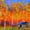 Aspen Trees In Autumn, variant on Elephant Stock Rivers Edge Ii Wall Art - Horizontal Multi Panel Canvas - Living Room Wall Decor - Animal Multi Panel - Orange And Blue Decor By Marion Rose - 38" x 24"