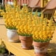 thumbnail image 4 of Simulation Morning Glorys Plastic Flowers Simulation Flower Bouquet Outdoor Holiday Decoration Home Garden Artificial Flower, 4 of 6