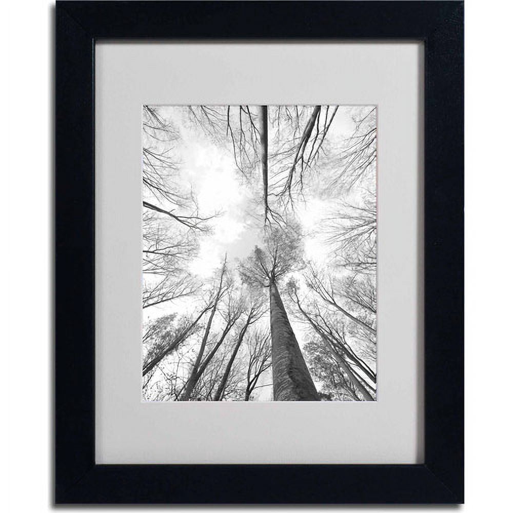 Trademark Fine Art "Recall the Days" Canvas Art by Philippe Sainte-Laudy, Black Frame