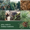 thumbnail image 4 of Balsam & Cedar, 4 of 4