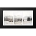 thumbnail image 2 of Delimont, Danita 14x9 Black Modern Framed Museum Art Print Titled - Snowbound, 2 of 5