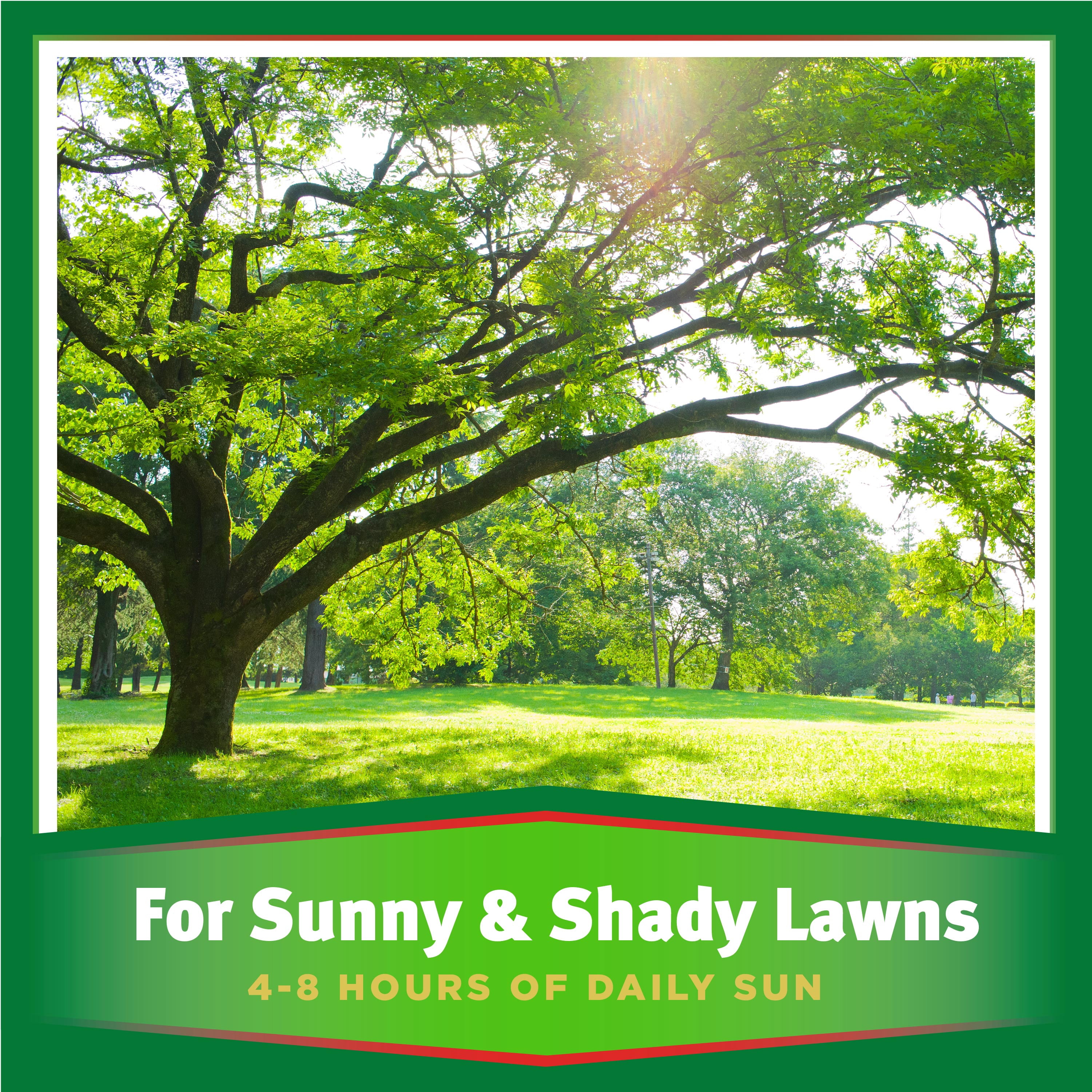 Pennington Ultimate Plus Grass Seed and Fertilizer Sun and Partial Shade, Southern Mix; 7 lb.
