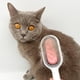 thumbnail image 2 of Cepillo Removedor De Pelo Peine húmedo para gatos, rastrillo de aseo para gatos, multifuncional, 2 en 1, suministros para mascotas autolimpiantes, 2 of 9