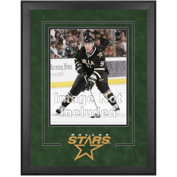 Dallas Stars Deluxe 16" x 20" Vertical Photograph Frame