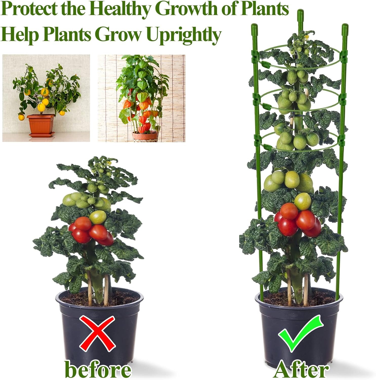 4 Packs 30inch Plant Support Cages with 3 Adjustable Support Rings- Small Tomato Cage for Pots Plant Holder for Home Garden Balcony for Orchids, Tomato, Vegetables, Flowers, Climbing Plants