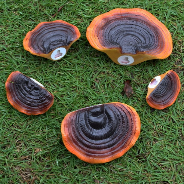 Estantes de Pared de Champiñones, Lindos Estantes de Pared de Champiñones Reishi Resina Artificial para Cabaña al Aire Libre