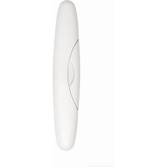 RADIUS Toothbrush Travel Case for Standard Brush, BPA-Free Recycled Plastic, 8.25H - 1.38W - 1.75L in - White