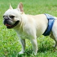 thumbnail image 3 of WE-POLUJ Washable Dog Physiological Pants Reusable Sanitary Underwear Belly Wrap Diaper, 3 of 20