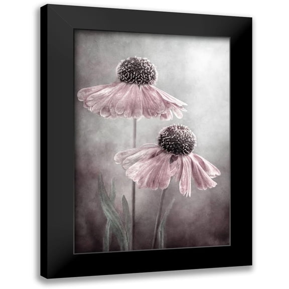 Disher, Mandy 11x14 Black Modern Framed Museum Art Print Titled - Duet