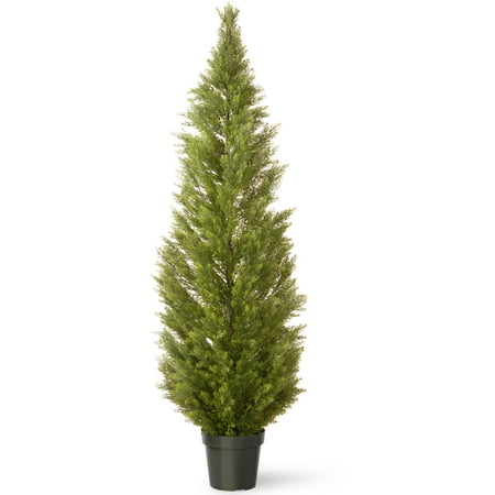 National Tree 72" Arborvitae with Green Pot