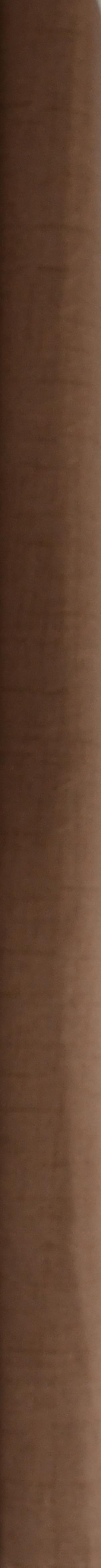 Waverly Inspirations 54" 100% Cotton Textures Sewing & Craft Fabric 8 yd By the Bolt, Stone