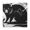 thumbnail image 3 of "Tasmanian Devil Rampage" - Canvas, 3 of 25