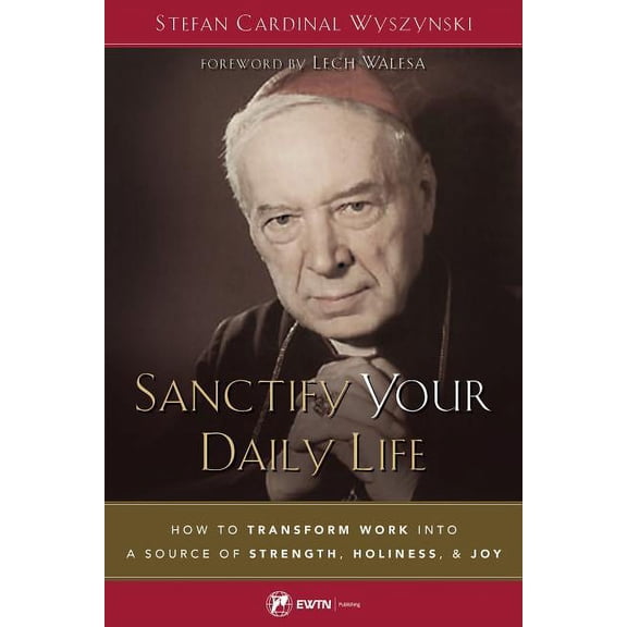 Sanctify Your Daily Life: How to Transform Work Into a Source of Strength, Holiness, and Joy, (Paperback)